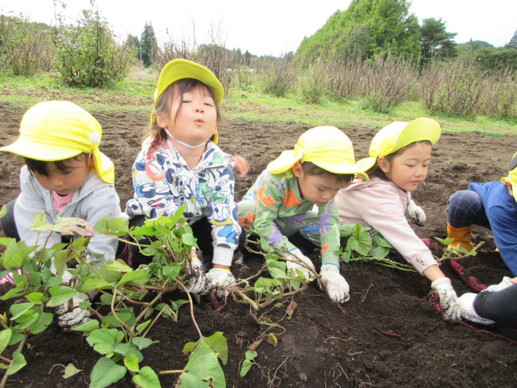 楽しかったサツマイモ掘り(^^♪